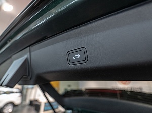 Monjaro 2025 Фулл Мун (Full Moon) 2.0 AT